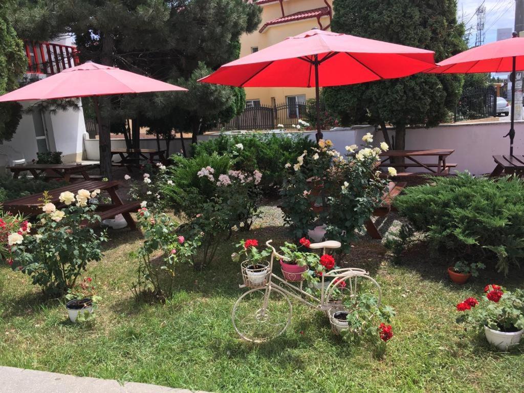 Hotel Pensiunea Acf Tineretului Costinești Exterior foto